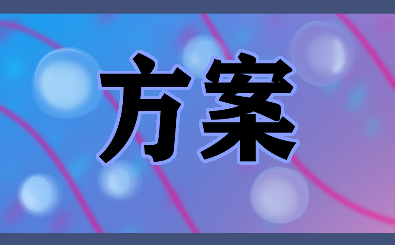 会议项目实施方案