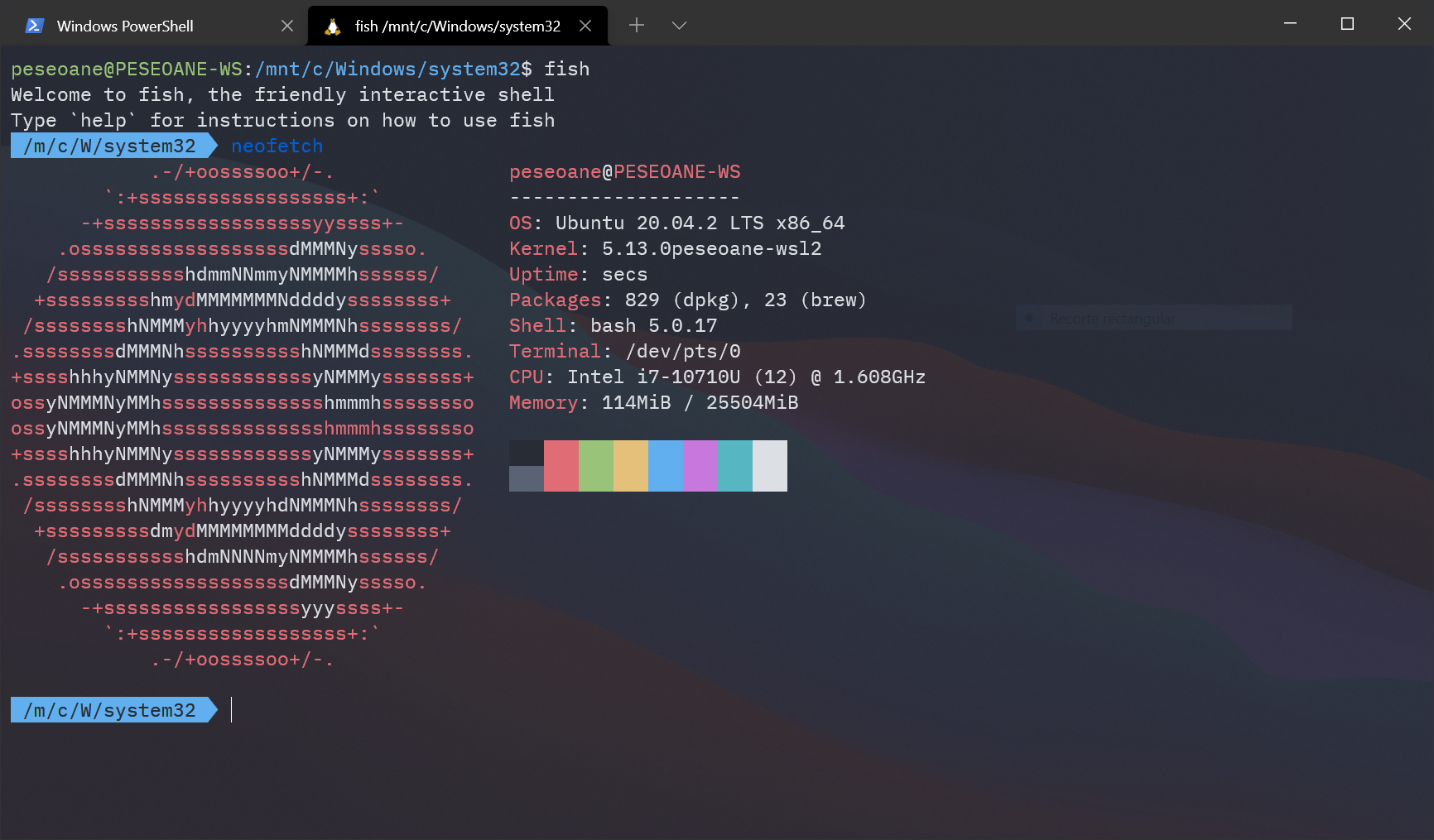 Vanila kernel on WSL2