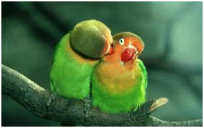 love 3