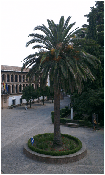 spain7