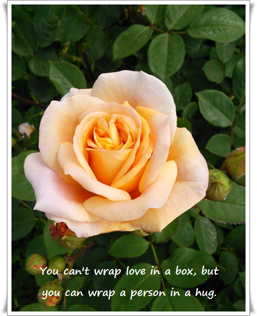 quotes2