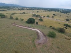 Netflix Hit ‘One Hundred Years of Solitude’: Colombia’s Locations From Caribbean Sun to Rose-Tinged Salt Flats, Marshy Mountain Moors, a Mangrove Swamp and That Key Big Tree   