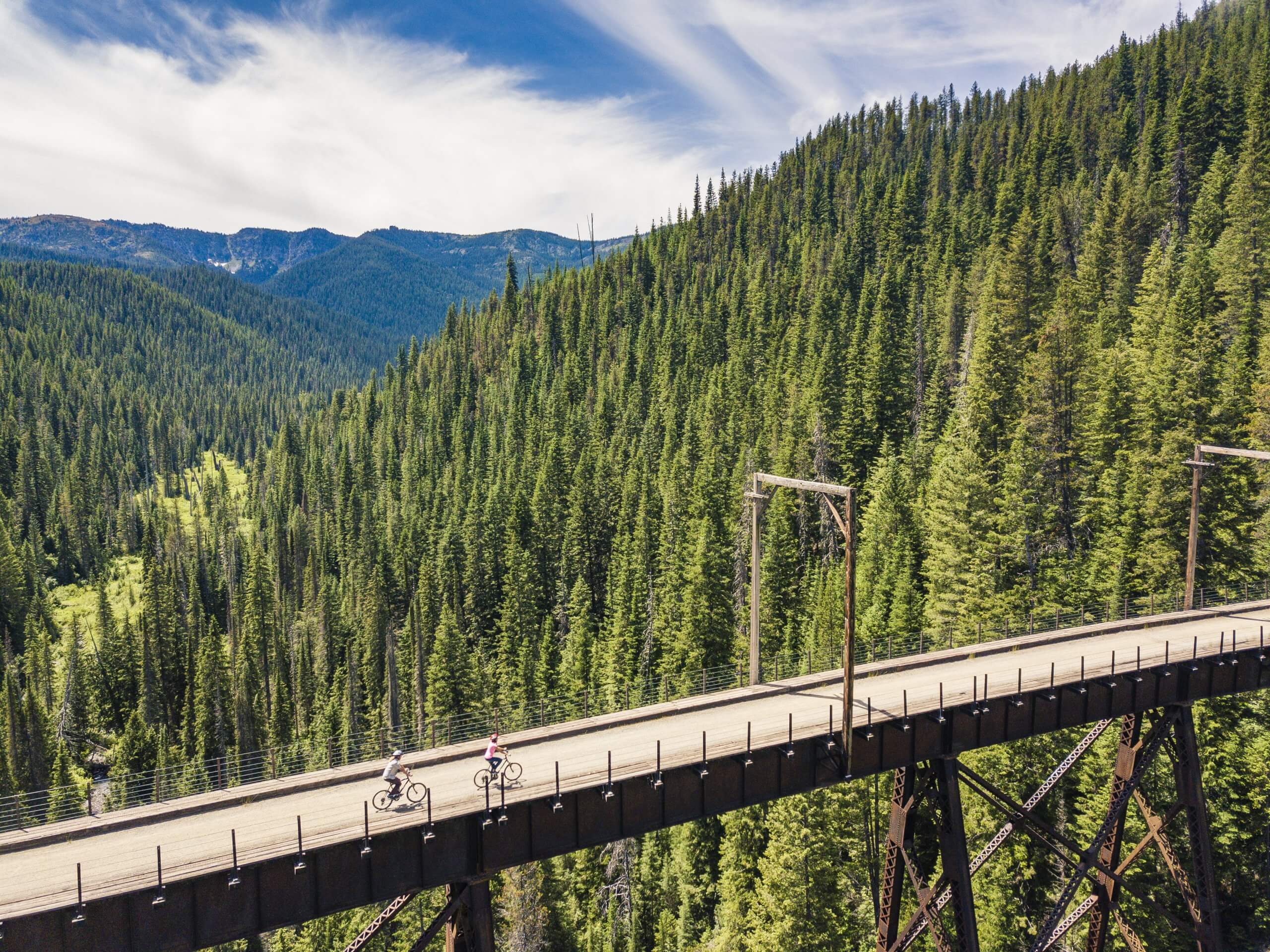 People ride bikes on a pathway that was once a railway, high above the treetops.