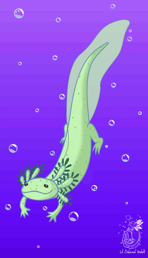 Axolote Papel de Parede