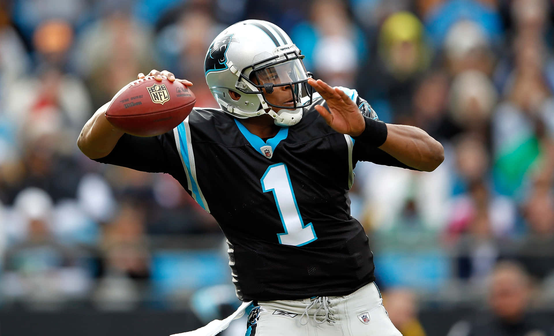 Cam Newton Papel de Parede