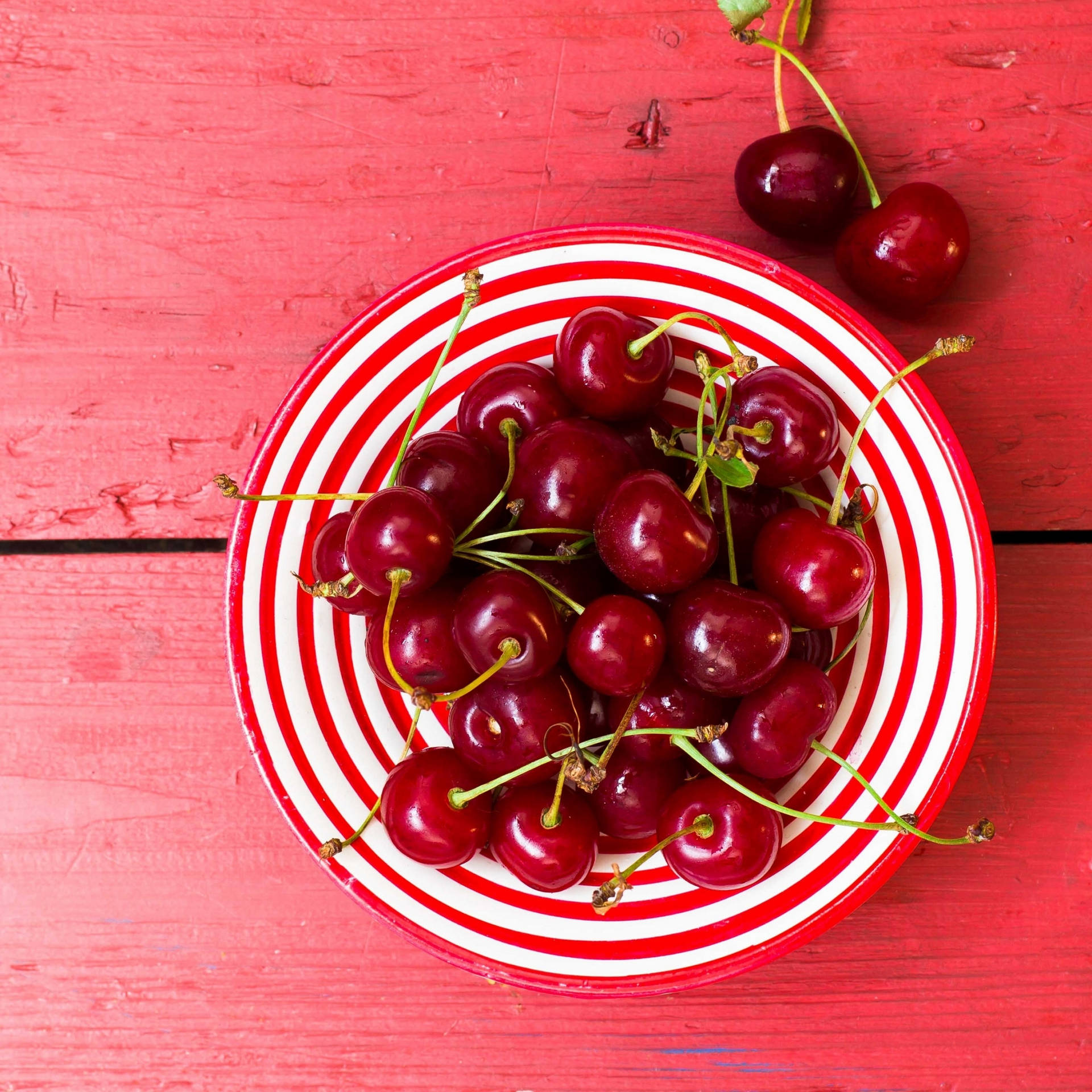 Cranberry Papel de Parede