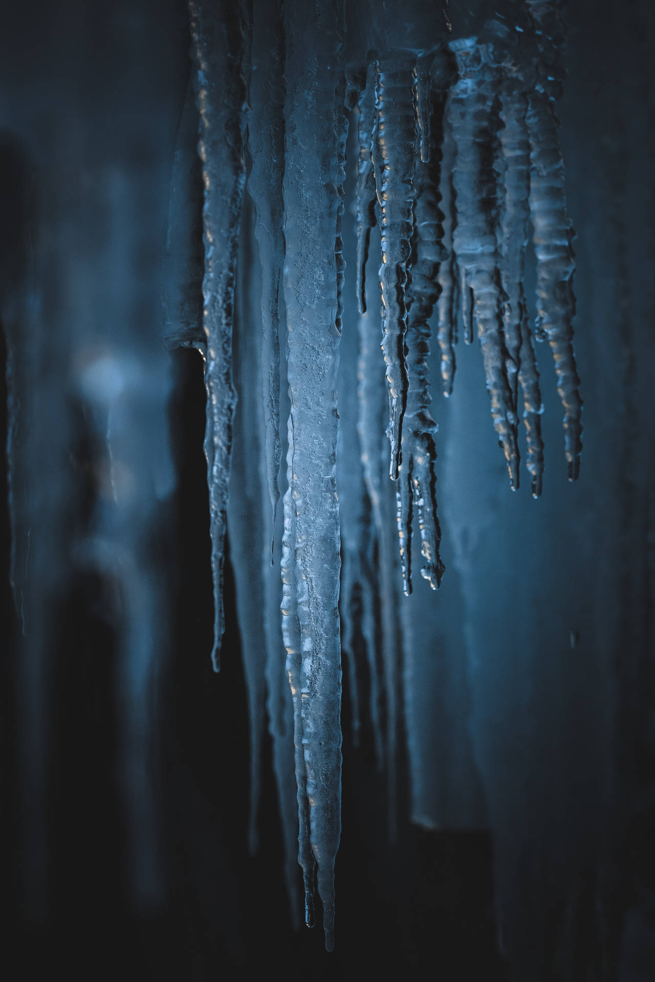 Frozen Fond d'écran