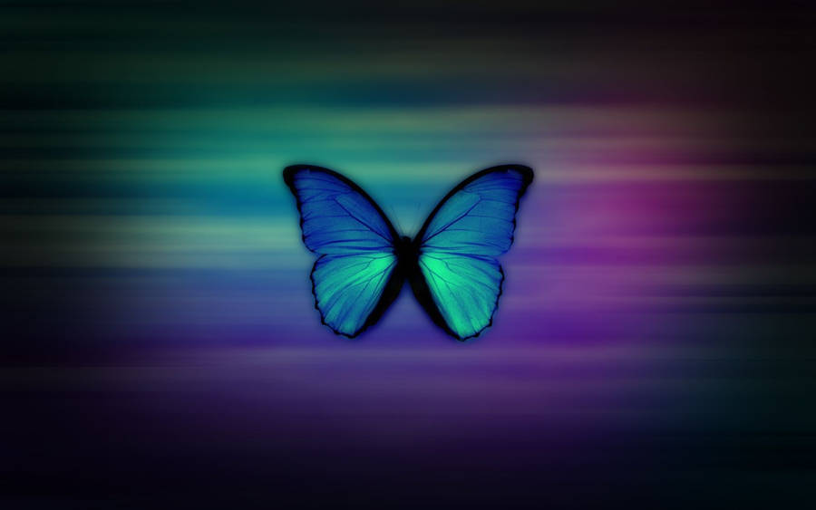 Genuino Fondo de pantalla