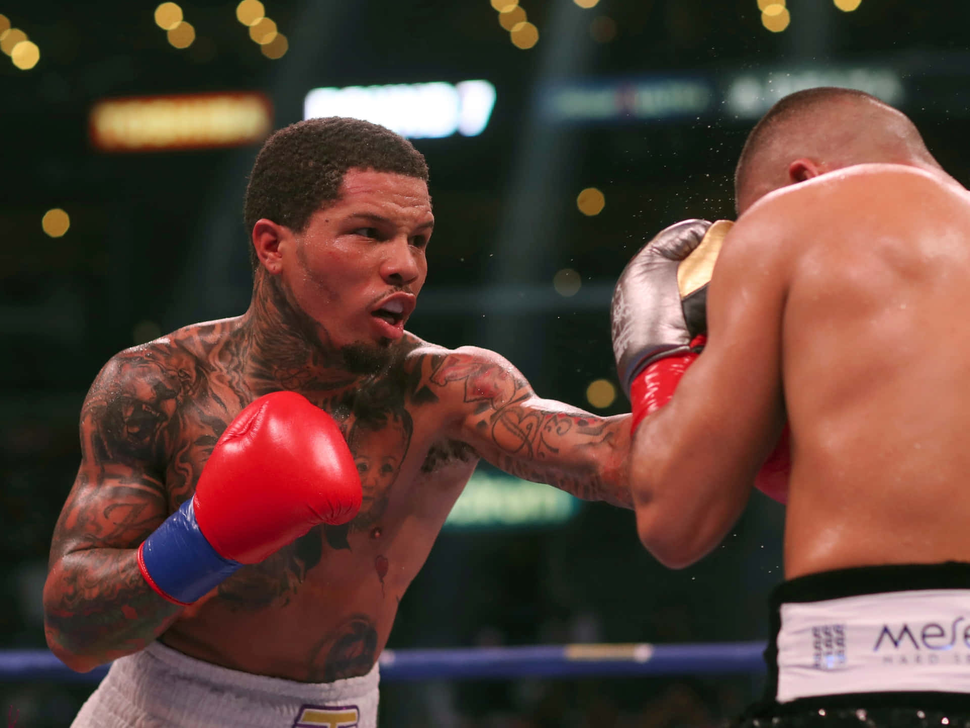 Gervonta Wallpaper