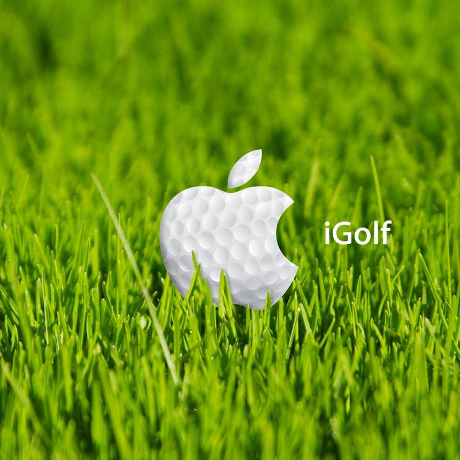 Golfe Legal Papel de Parede