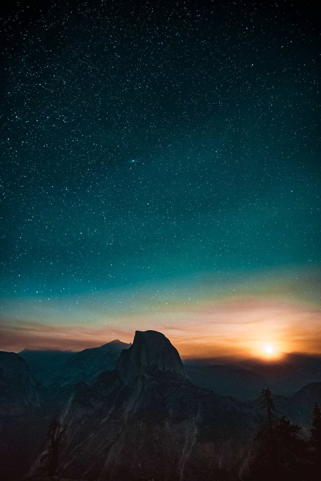 Gurli Wallpaper