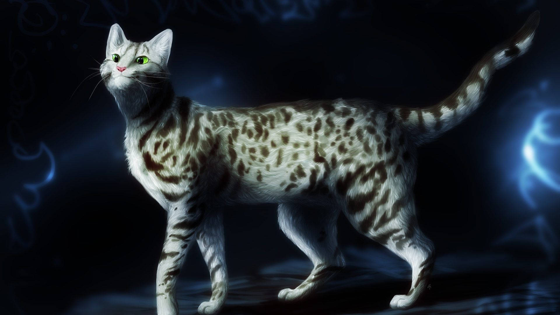 Katt Konst Wallpaper