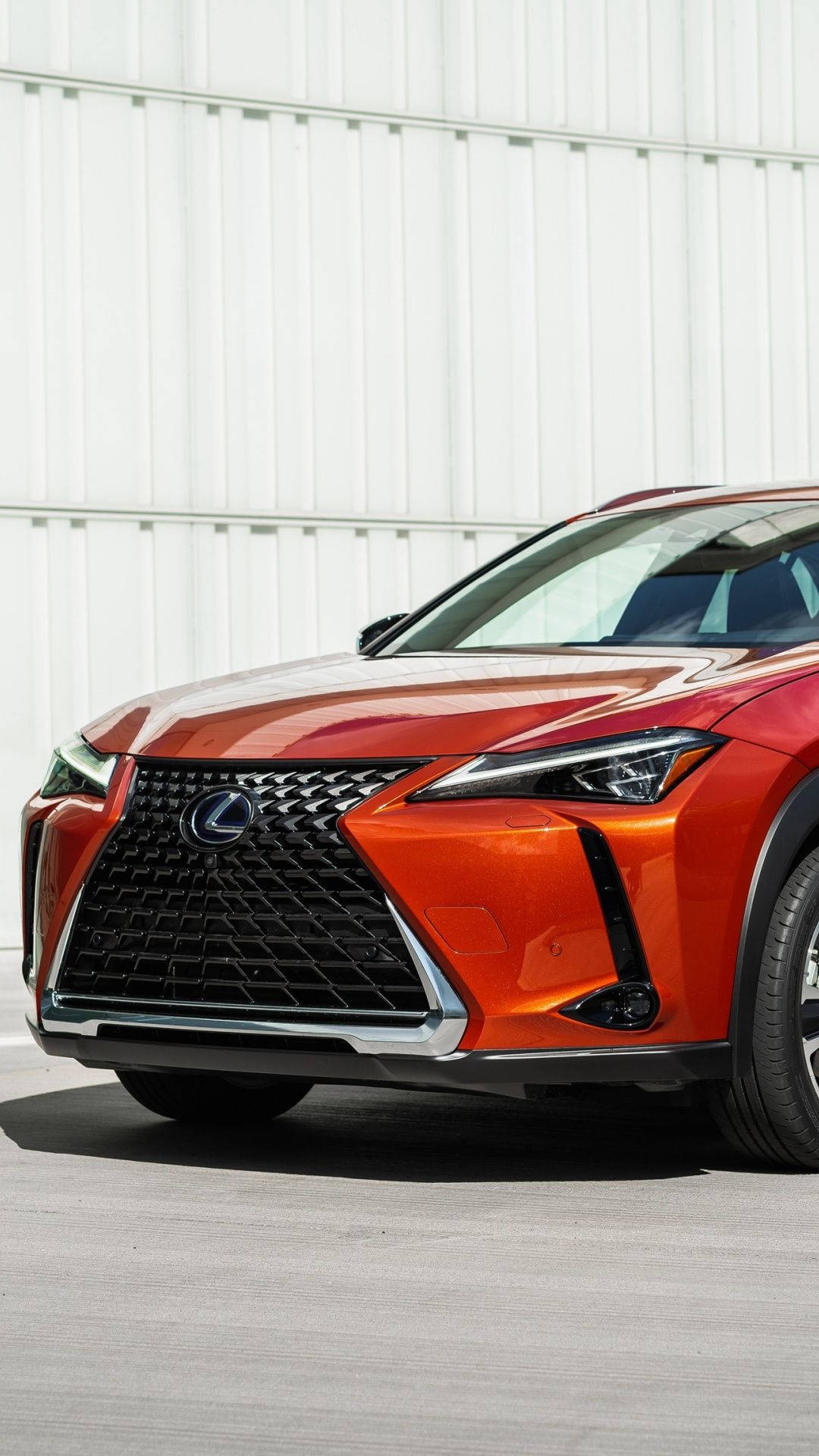 Lexus Wallpaper