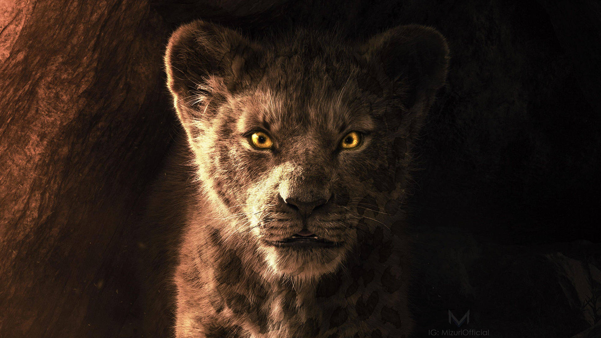 Lion Cub Bakgrunnsbildet
