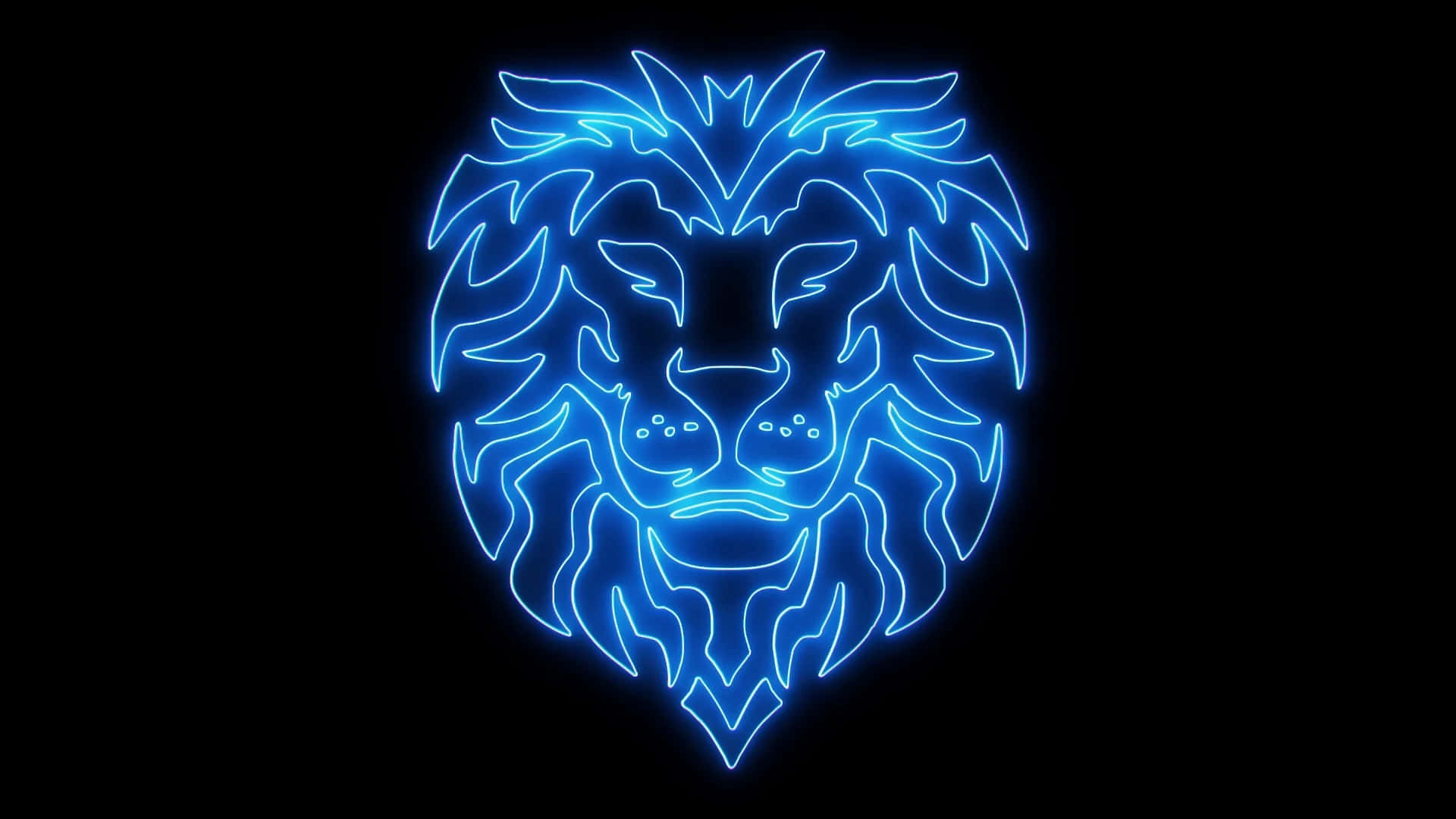 Lion Face Fond d'écran
