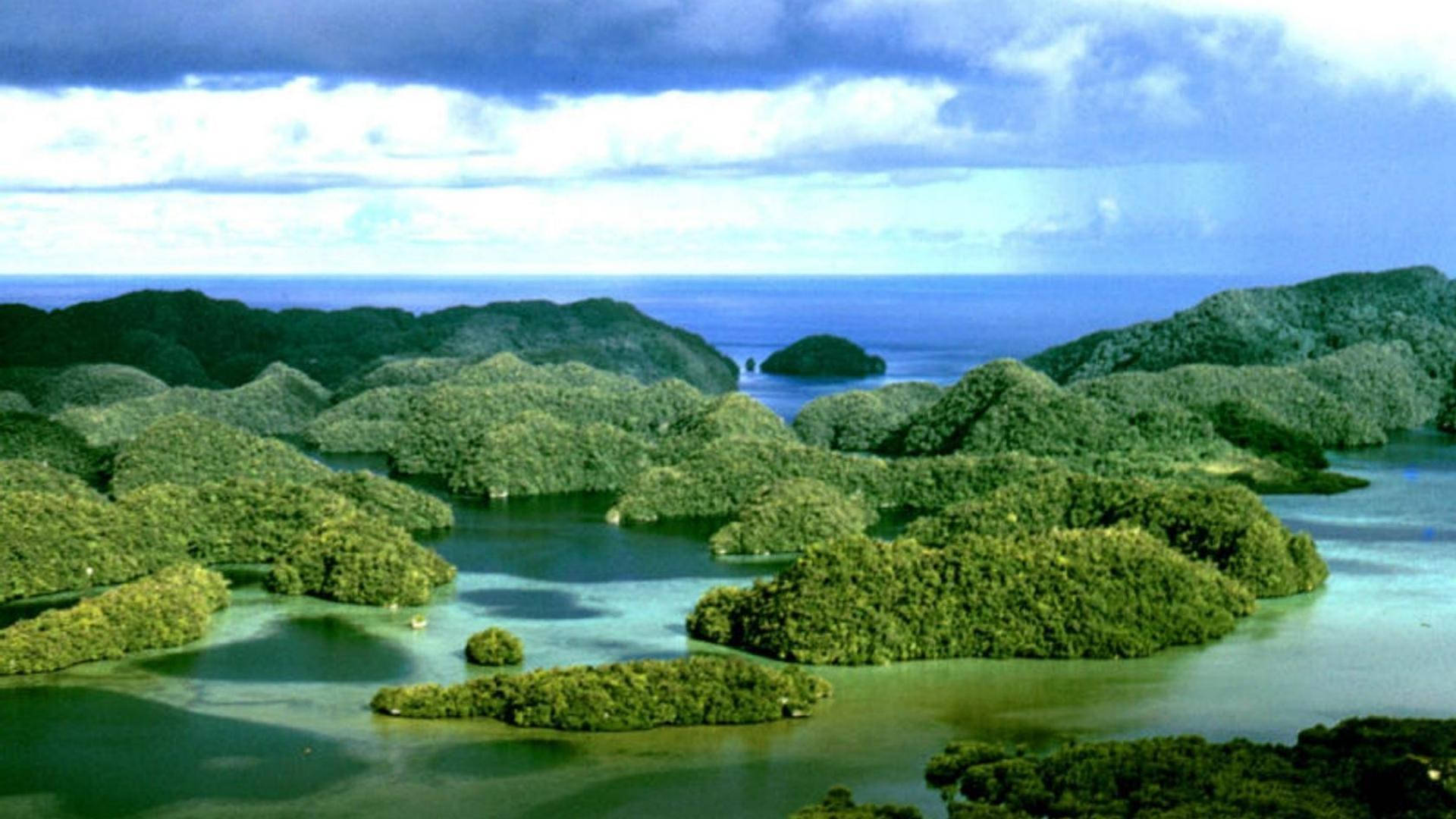 Palau Papel de Parede