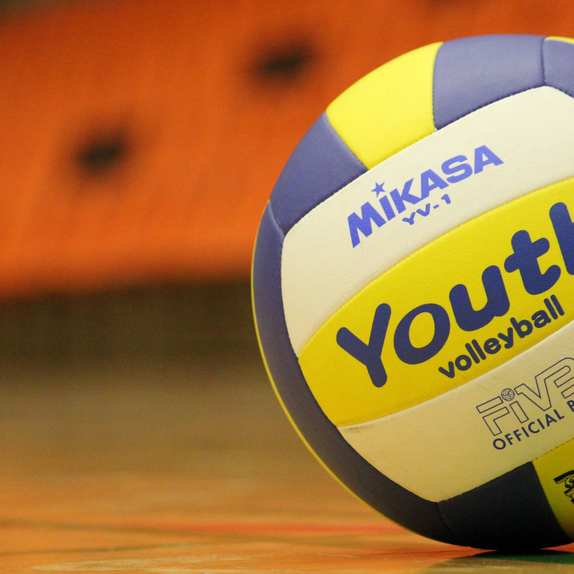 Sisävolley Taustakuva