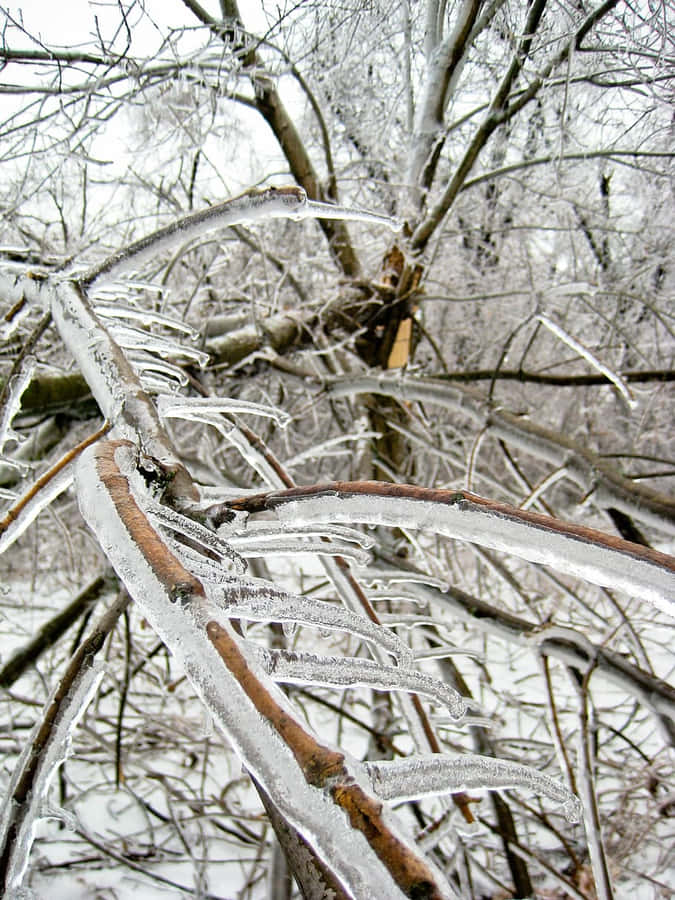 Sleet Achtergrond