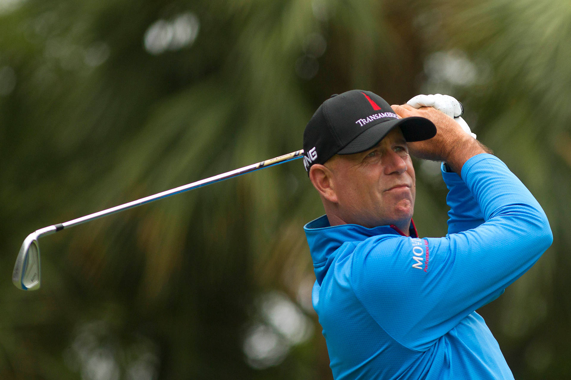 Stewart Cink Achtergrond