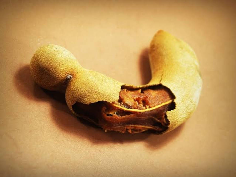 Tamarind Bakgrunnsbildet