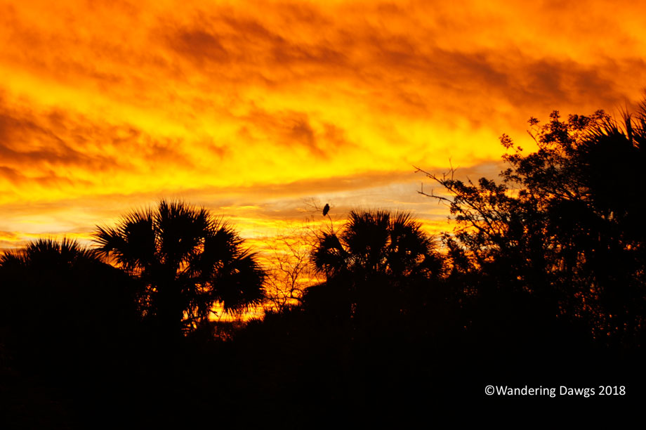 20120111The-Glades-am-(8)