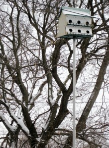 birdhouse