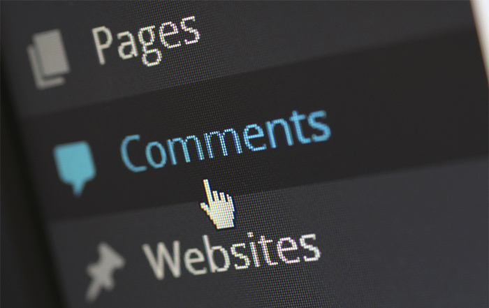 wordpress development