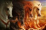 the-four-horsemen-of-the-apocalypse