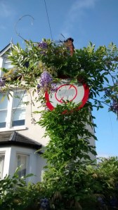 The pretty road sign.