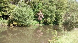 IMG_20150603_115604082