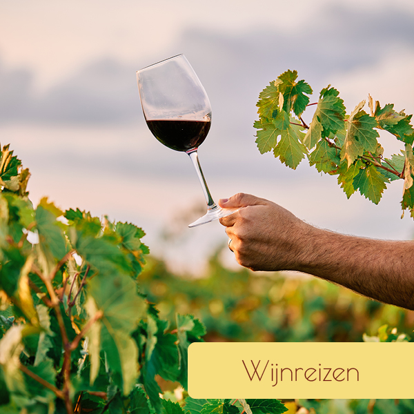 Wijnreis 2026 Pfalz - Elzas -