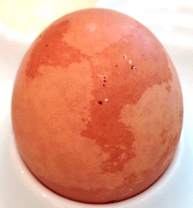 WitLoveKath - Egg Carton of Life - small world II