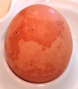 WitLoveKath - Egg Carton of Life - small world IV II