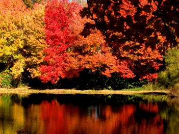 Autumn reflections near the Waterford Library