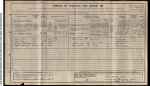 Wilfrid Edwards 1911 census