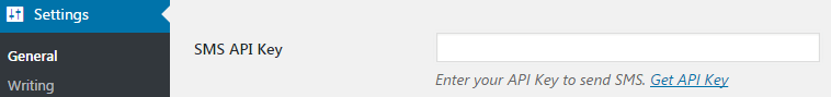 api key option