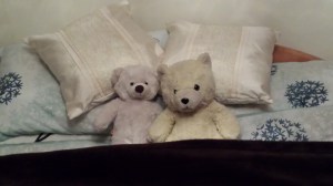 Bears