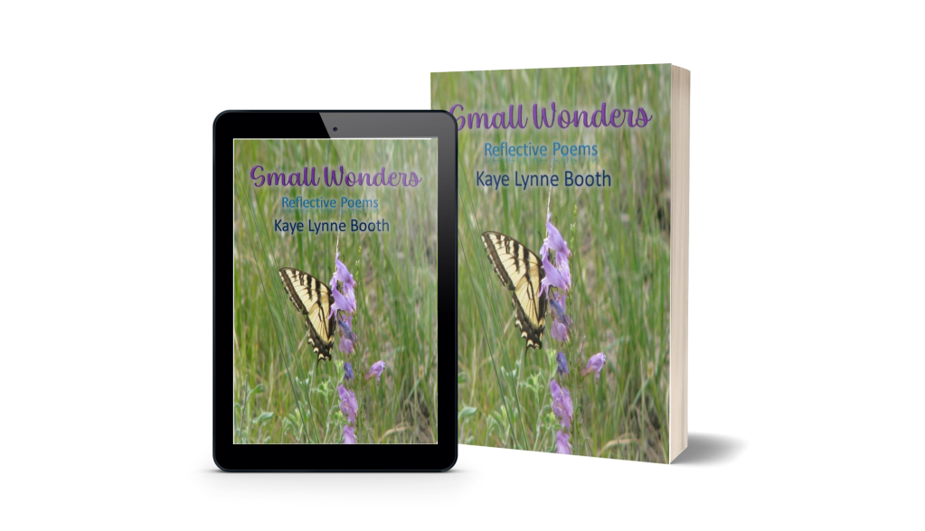 Whispers of the Past Digital and print copies of Small Wonders