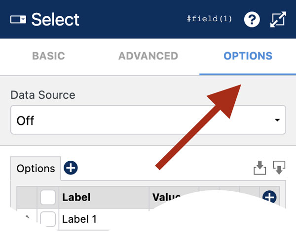 WS Form - Data Grid - Column Mapping - Options Tab