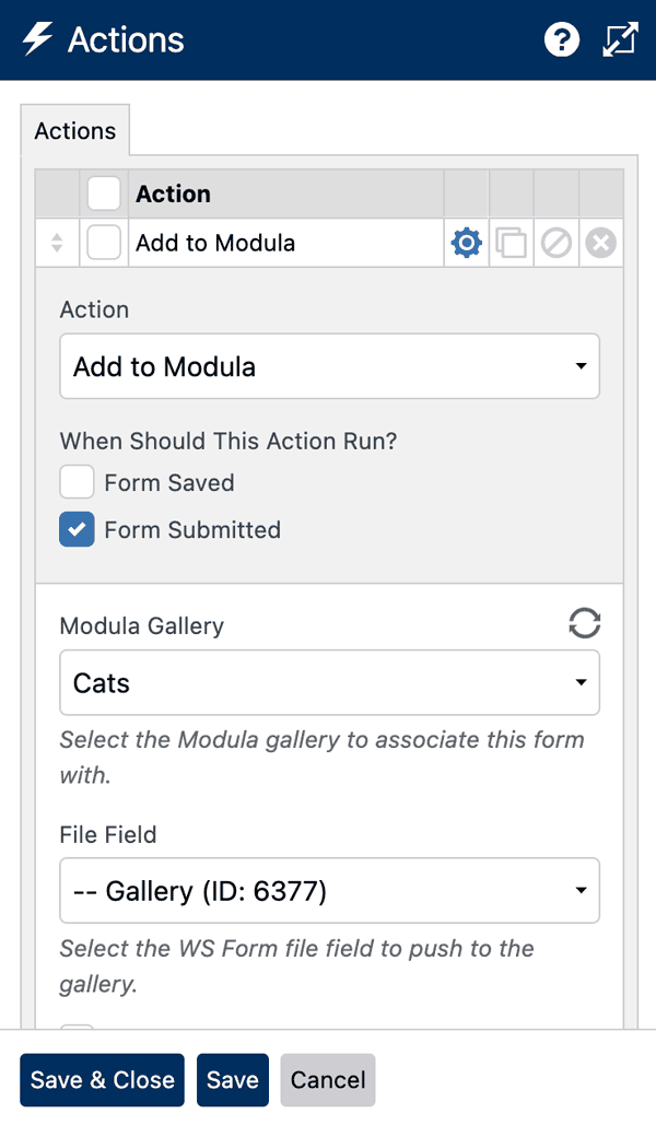 WS Form - Modula - Add to Modula Action