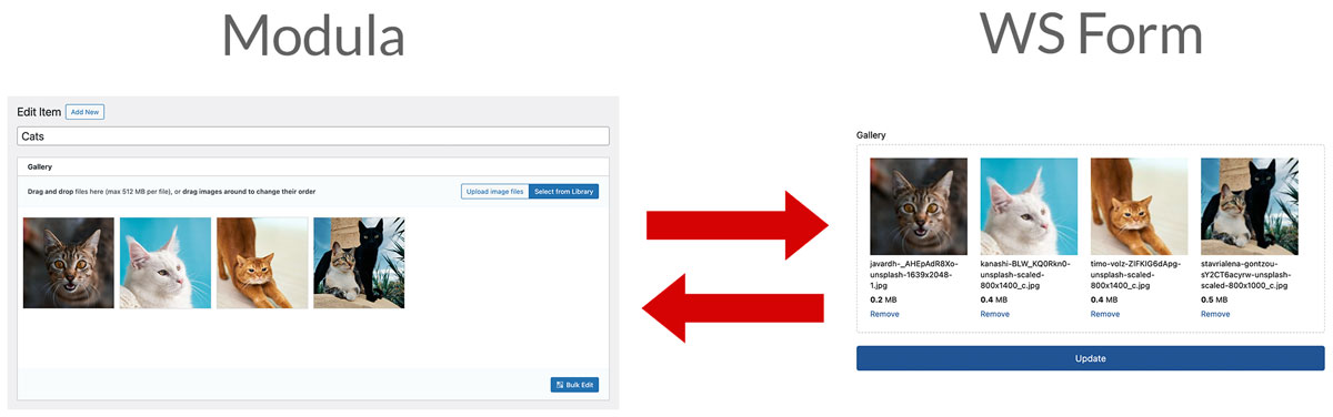 WS Form PRO - Modula Integration