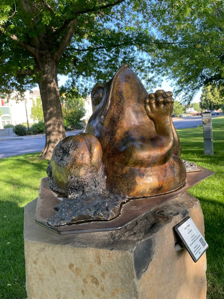 Haiku Friday—Frog Faith