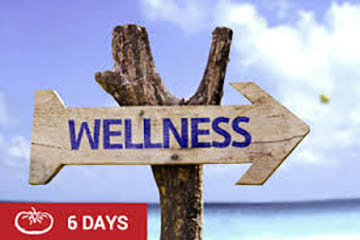 wellness