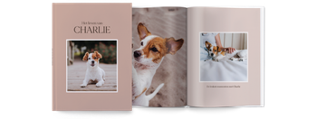 Fotoboeken — Stijlvolle hond