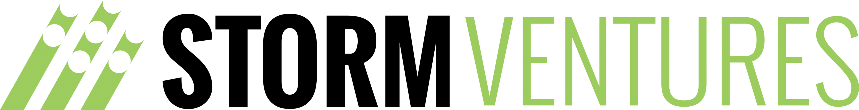 Storm Ventures Logo