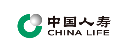 中国人寿BPM流程管理系统