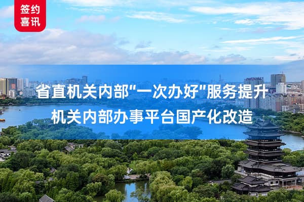 AlphaFlow助力某省级“一次办好”服务提升和信创项目