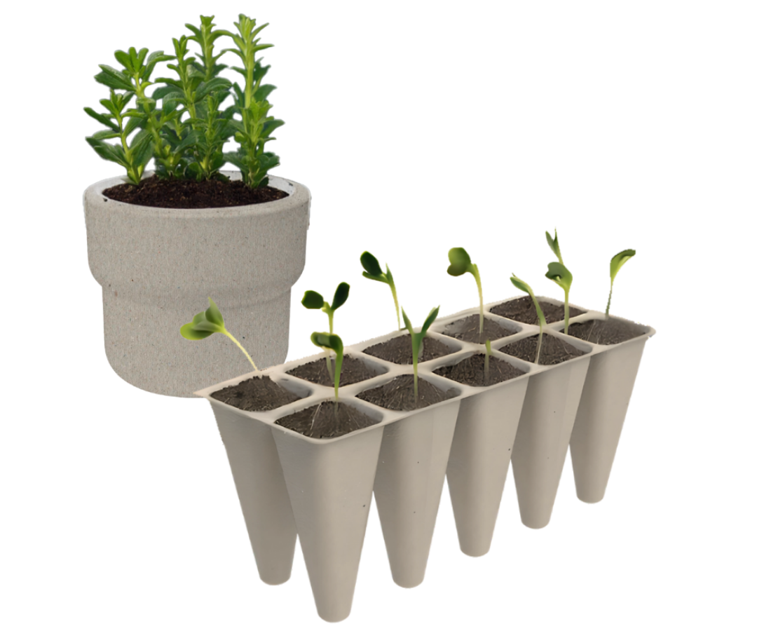 Untitled design (45)