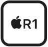 R1 칩의 그래픽 이미지