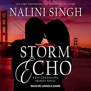Storm Echo